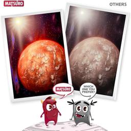 Matsuro Original Compatible Ink Cartridges(1 Set)