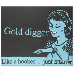 Gold Digger by Goldman, Todd