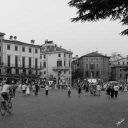 Verona 1 by Aronov, Misha