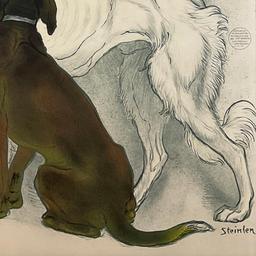 Clinique Cheron by Steinlen (1859-1923)