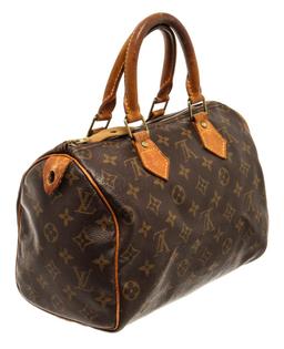 Louis Vuitton Speedy 25 cm Handbag