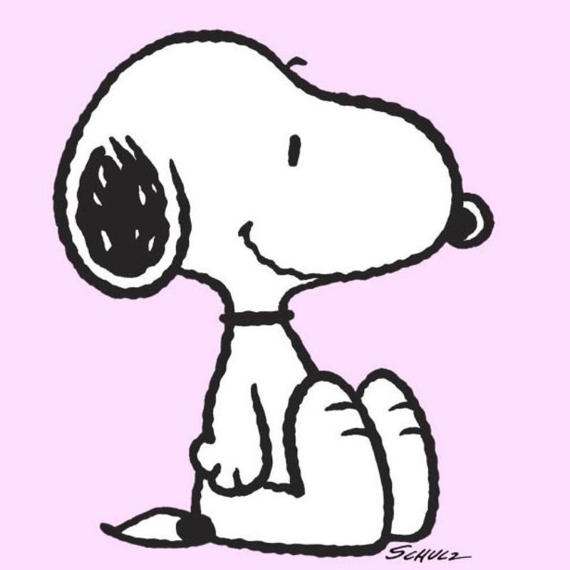 Snoopy: Pink by Peanuts