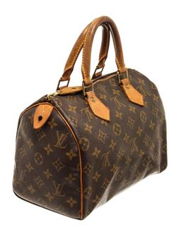 Louis Vuitton Speedy 25 cm Handbag