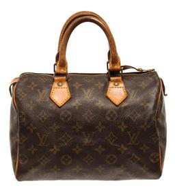 Louis Vuitton Speedy 25 cm Handbag