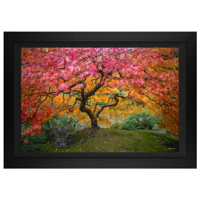 Full of Life by Jongas,
