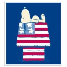 Stars and Stripes and Sleep by Peanuts