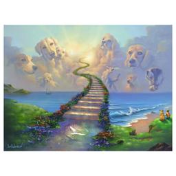Remembering the Rainbow Bridge by Warren Jim
