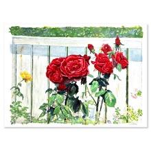 Roses by Fox Perla