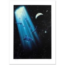 Conception by Schimmel William
