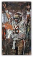 Montana Superbowl XVI by Stephen Holland