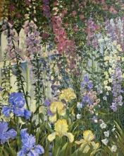 Foxgloves and Iris
