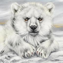 Polar Bear by Katon Original