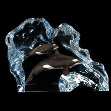 Orca Wave by Cantrell Kitty