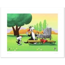 Sylvester & Son Radio Controlled Jet by Looney Tunes