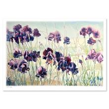 Iris by Fox Perla