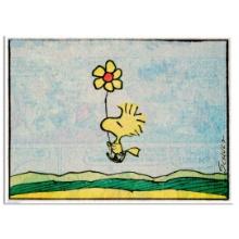 Flower by Peanuts