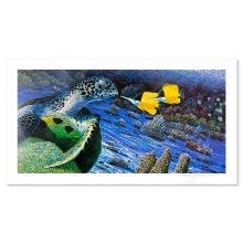 The Turtle and the Butterfly by Nelson Robert Lyn