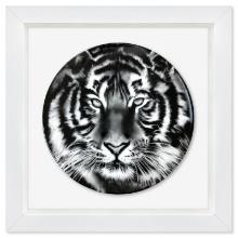 Tiger by Longo Robert