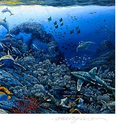 Wonders of Mahea-Lani by Nelson Robert Lyn