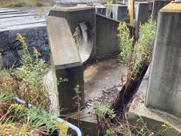 Precast Concrete Spillway, 29" Hole, 9'6" Wide x 55" High x 60" Deep