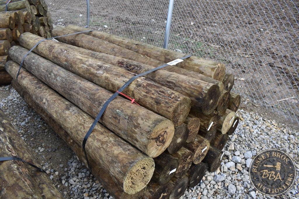 TREATED FENCE POST 25853
