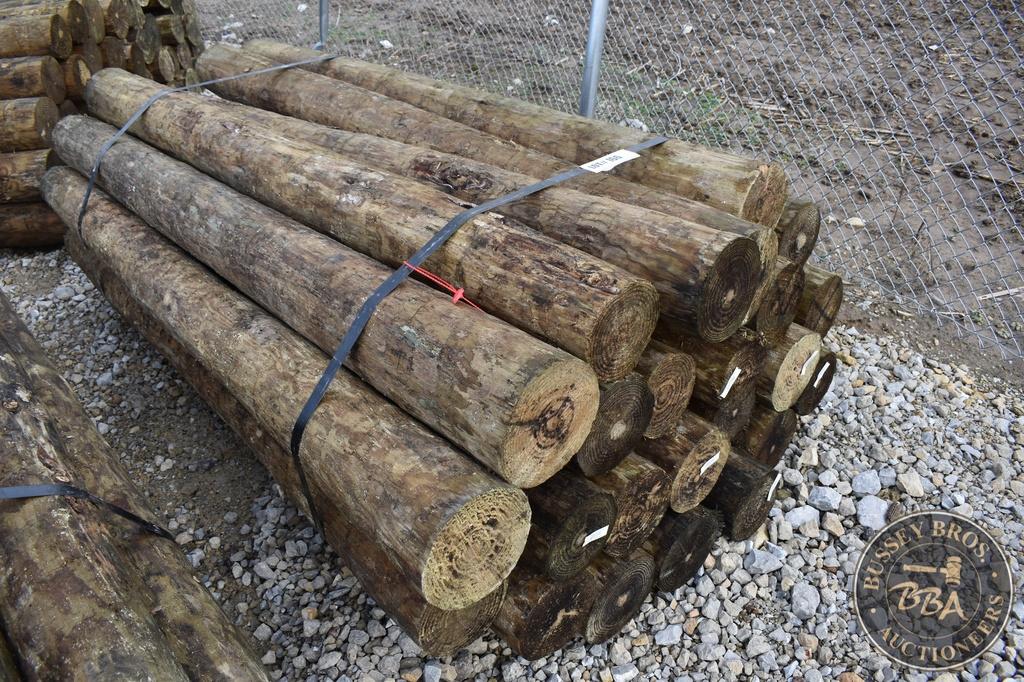 TREATED FENCE POST 25853