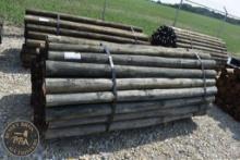 TREATED FENCE POST 37281