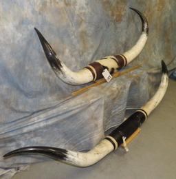 2 SETS OF MOUNTED STEERHORNS (2X$) TAXIDERMY