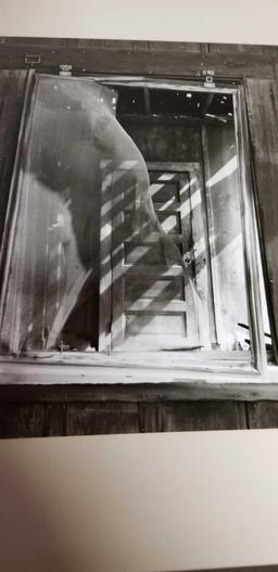 Black and White Signed Photography