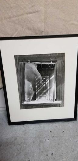 Black and White Signed Photography