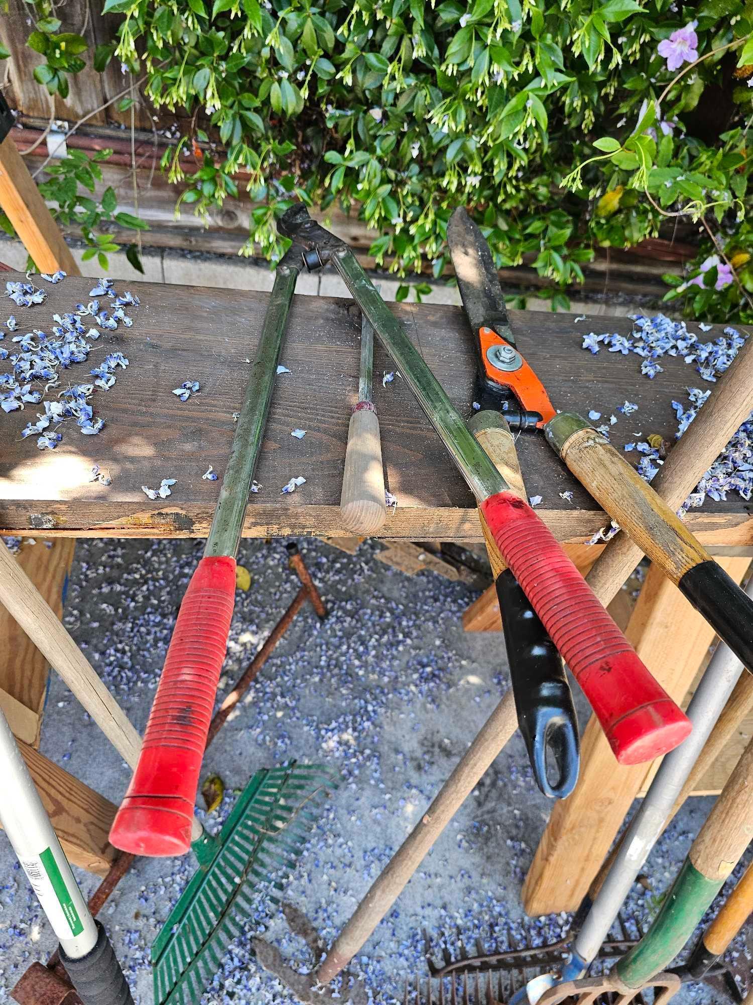 LARGE GROUP OF OUTDOOR SHOVELS