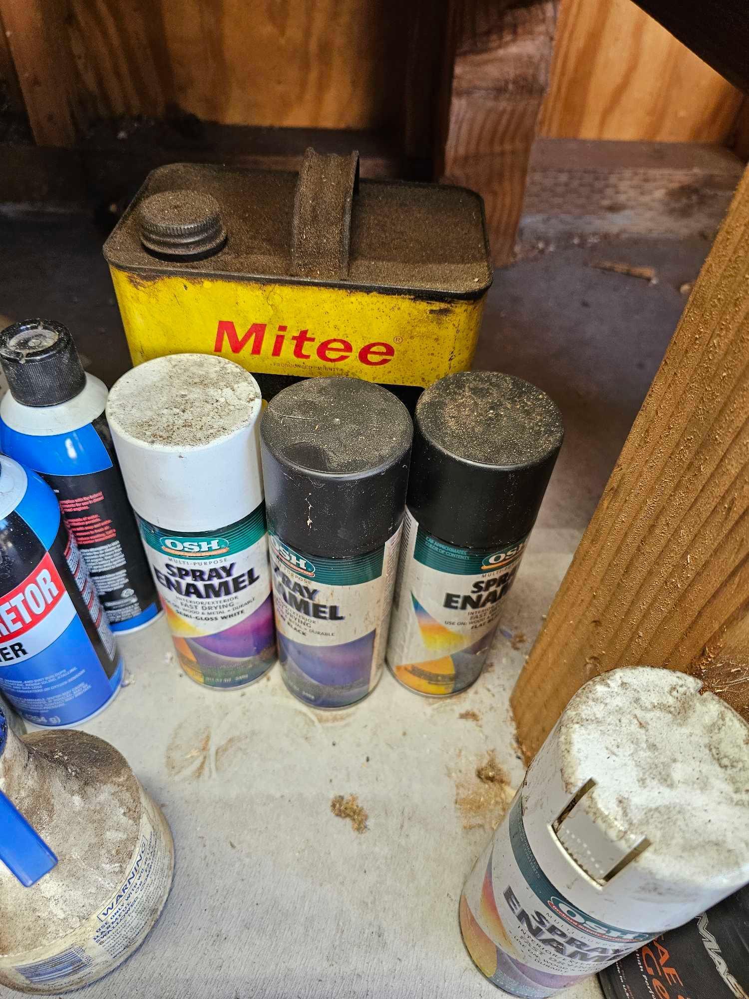 MIXED LOT OF HOUSEHOLD CHEMICALS