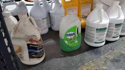 PAINT AND CHEMICAL CONTENTS UNDER SHELF