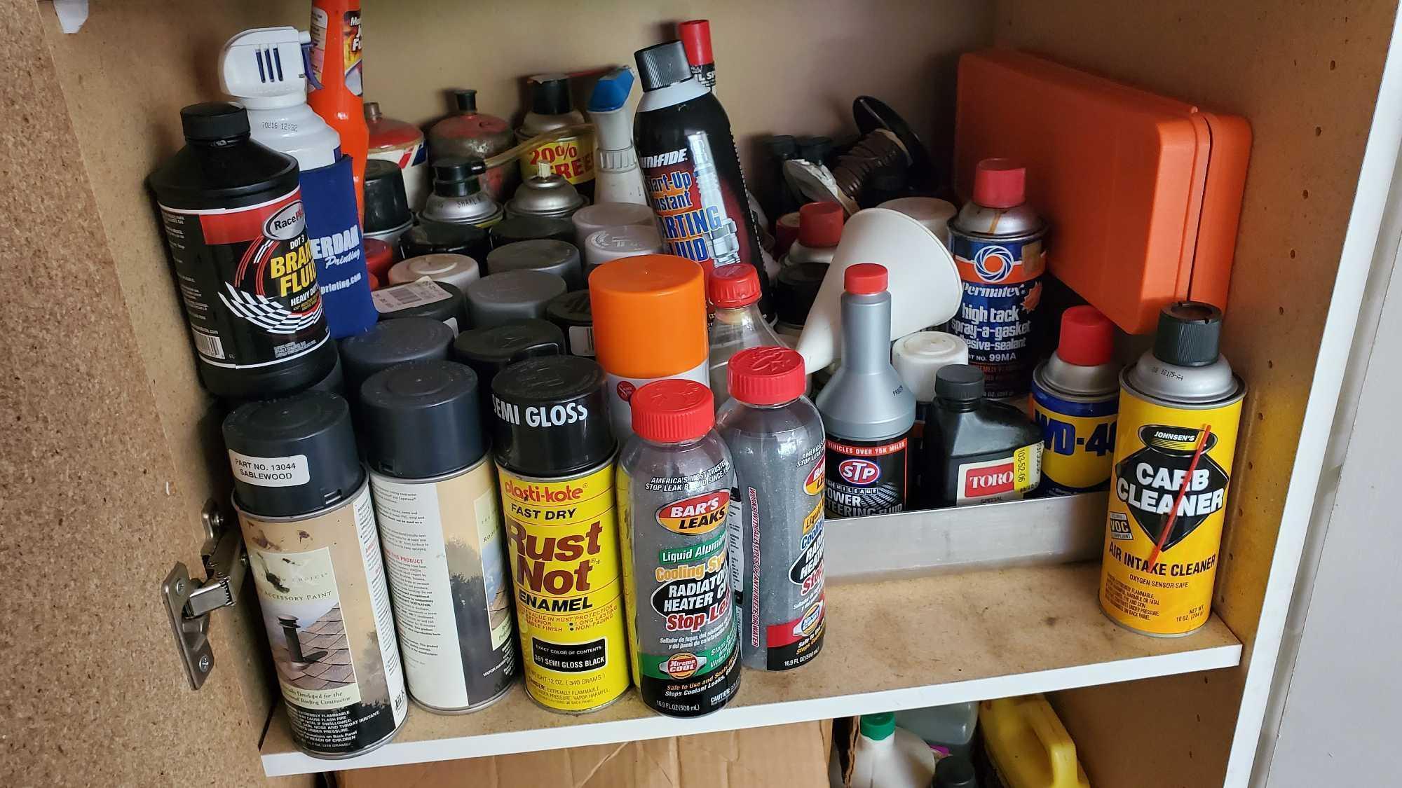 GARAGE CLOSET 1