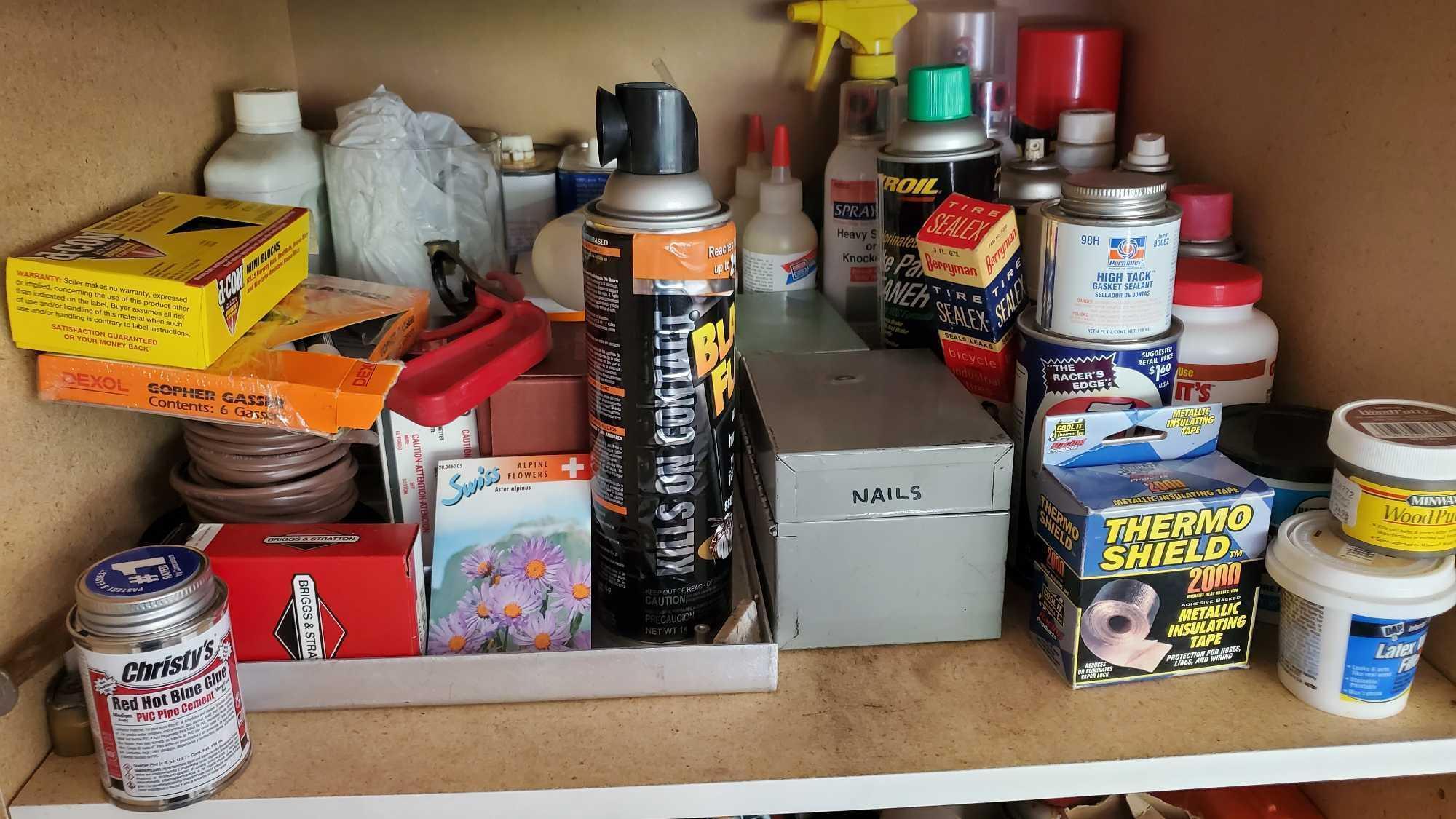 GARAGE CLOSET 1