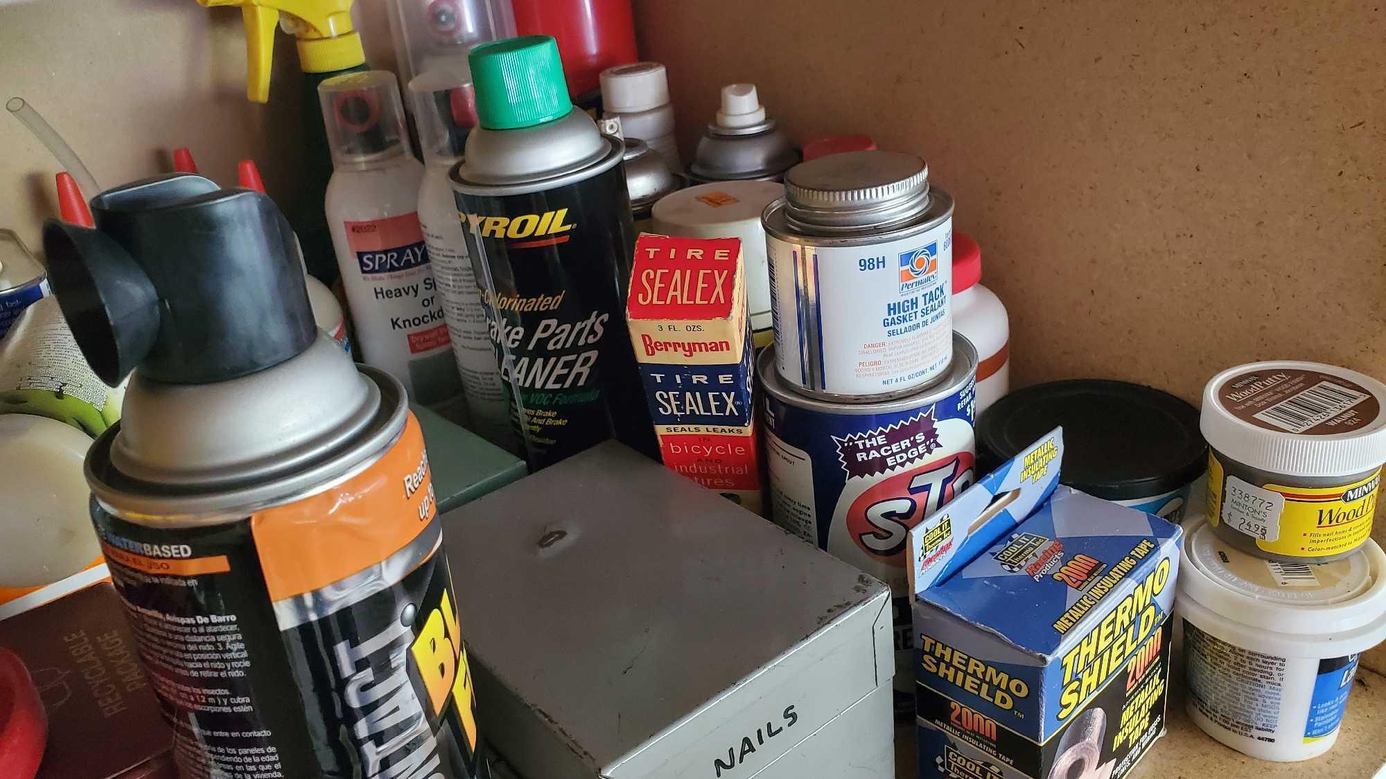 GARAGE CLOSET 1