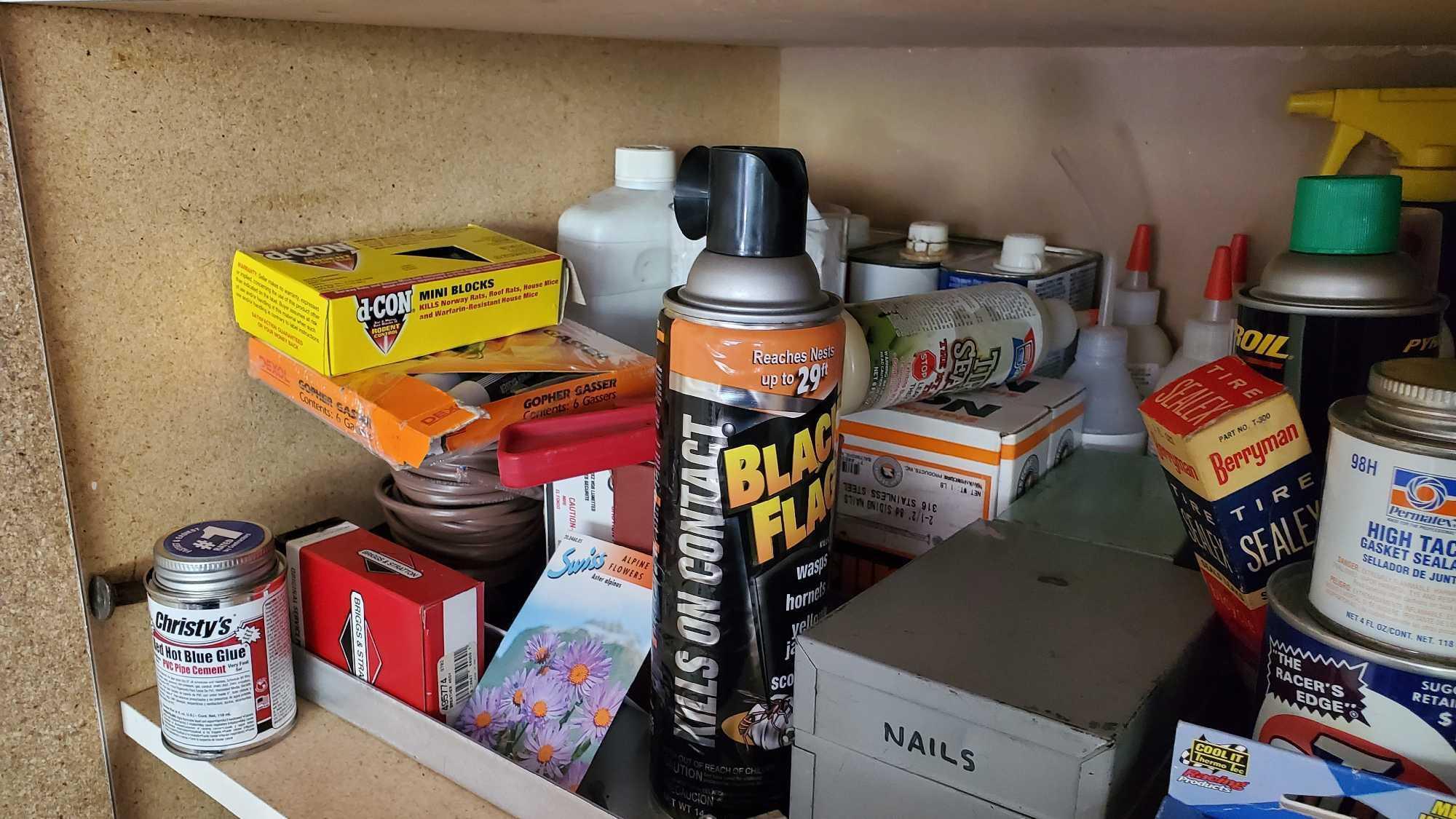 GARAGE CLOSET 1