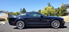 BLACK SHELBY GT500