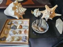 SHELLS, ARROWHEADS, GEODES