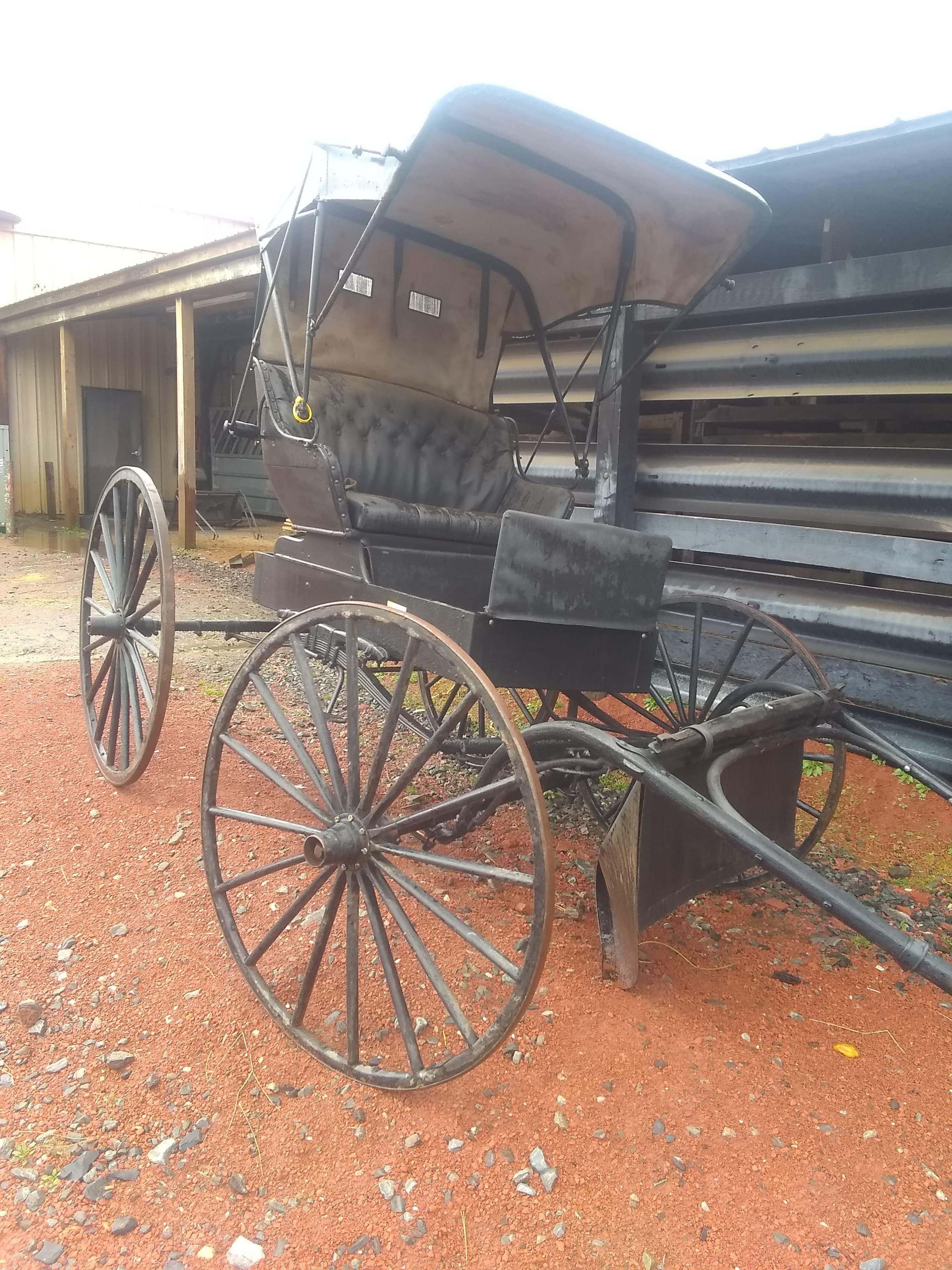AMISH HORSE BUGGY