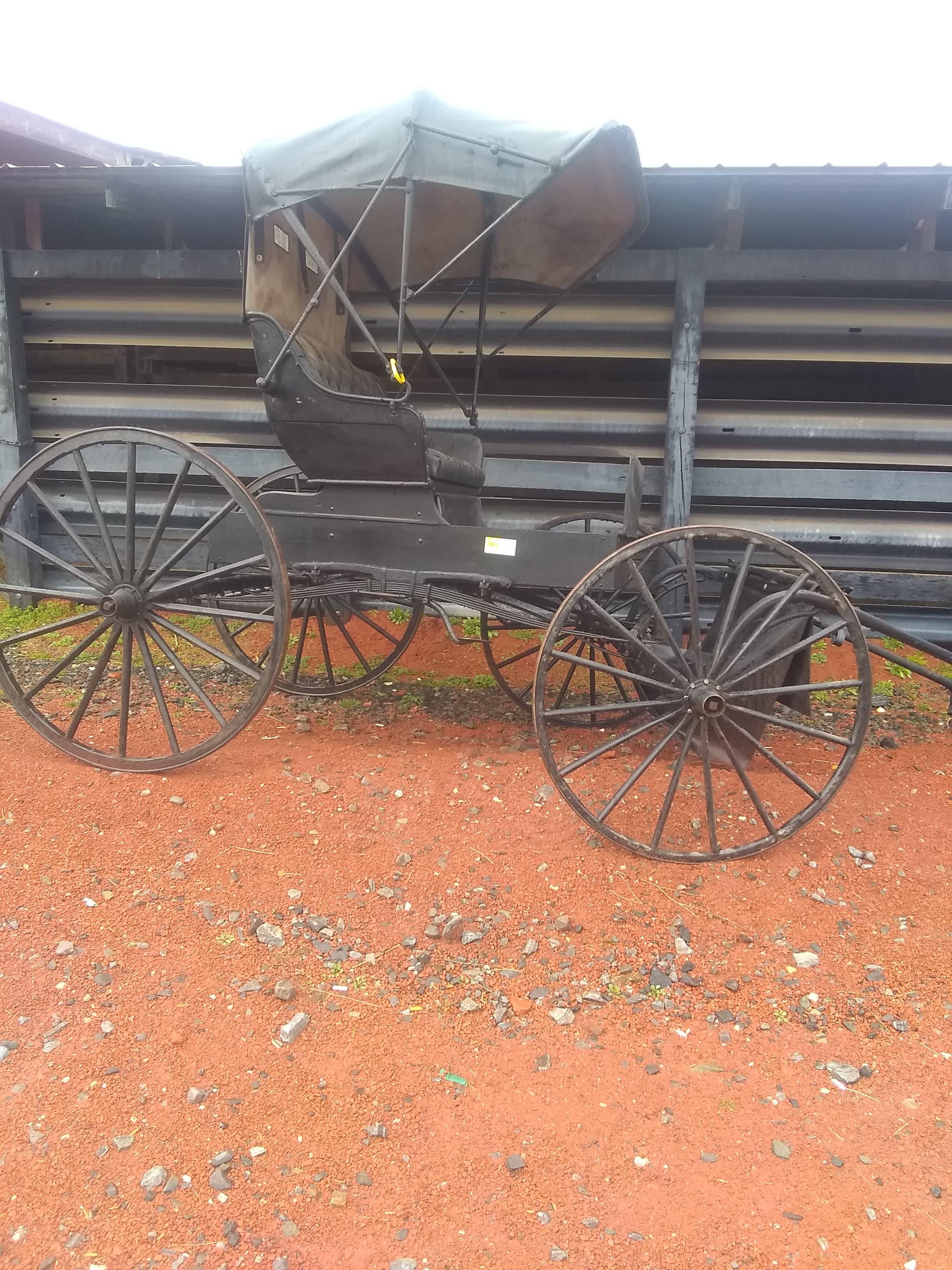 AMISH HORSE BUGGY