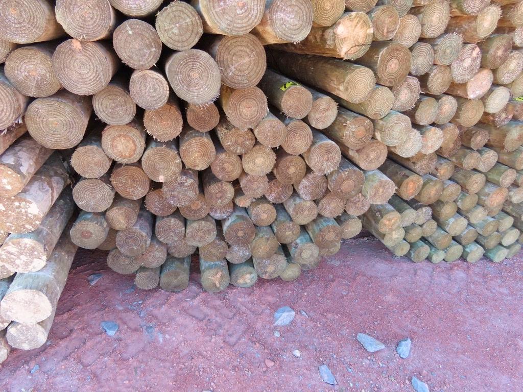 BUNDLE OF WOODEN POSTS