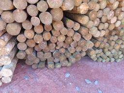 BUNDLE OF WOODEN POSTS