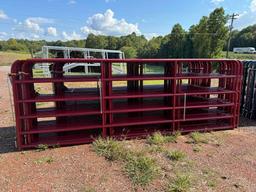10' Red Gate