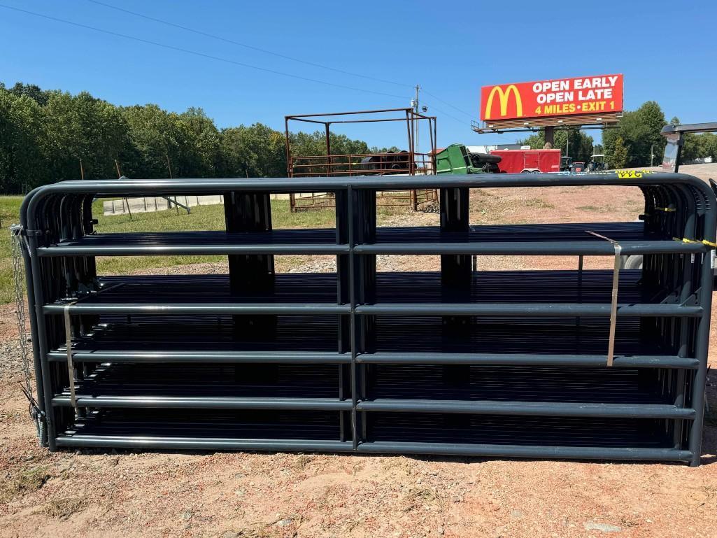 10' Blue Gate