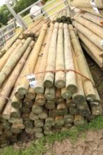 5 X 8 WOOD POST 45 CT