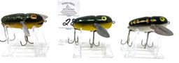 Three Heddon Crazy Crawler Lures