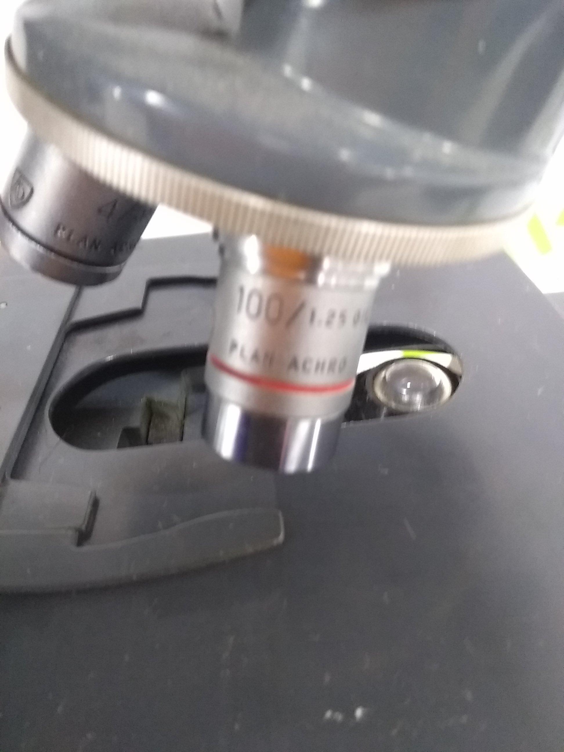 American Optical MicroStar One-Ten Teaching Microscope - 46844