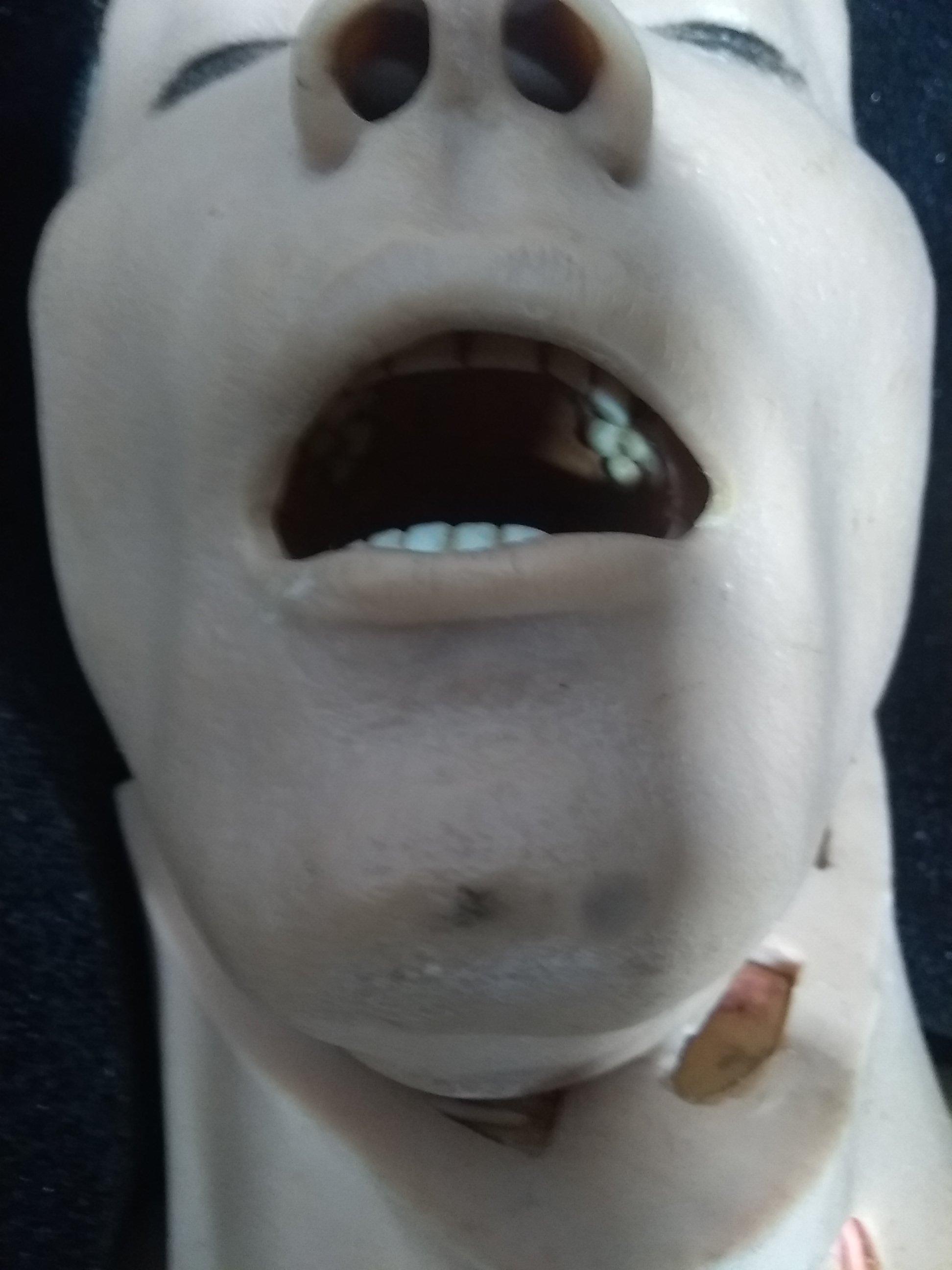 TraumaFX Solutions Inc AirwayPlus Lifecast Training Manikin - 81629