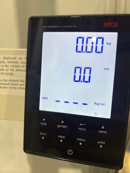Seca Corp. 286 Patient Scale - 279598